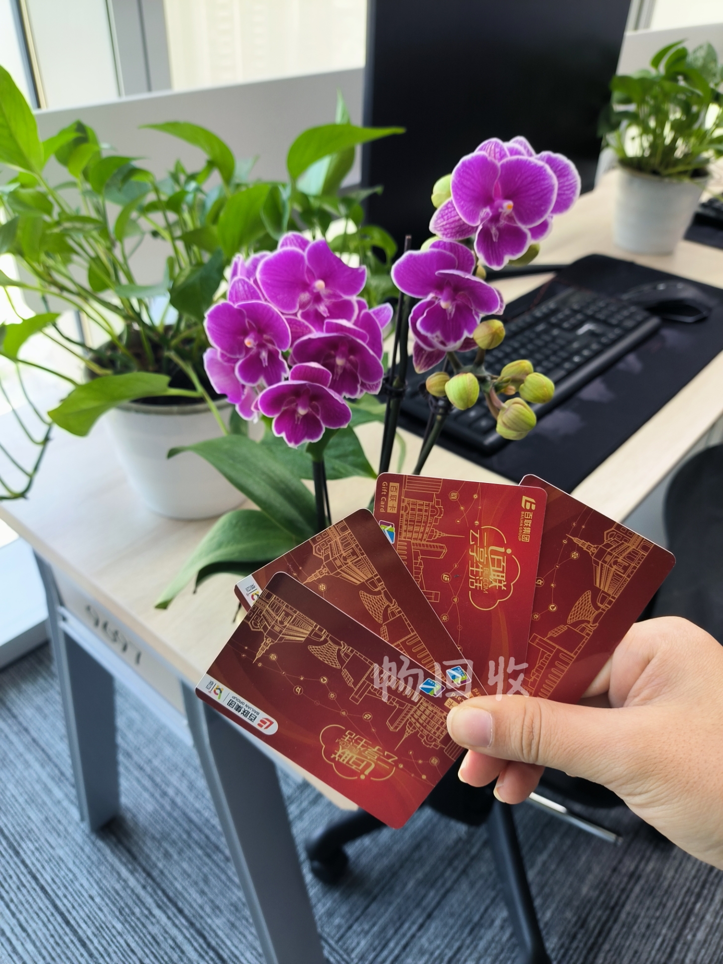 今日百联OK卡回收价格是多少？